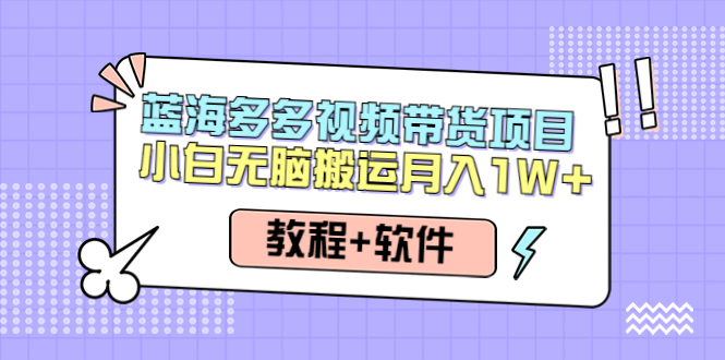人人都能操作的蓝海多多视频带货项目 小白无脑搬运月入10000+（教程+软件）-微众资源