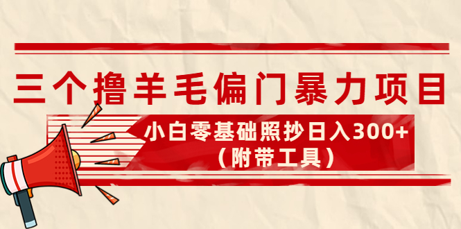 外面卖998的三个撸羊毛偏门暴力项目，小白零基础照抄日入300+（附带工具）-微众资源