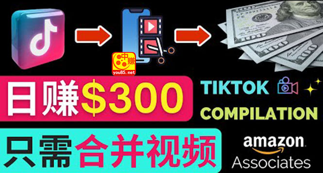 搬运Tiktok短视频到Youtube赚钱，只需下载，合并视频，日赚300美元-微众资源