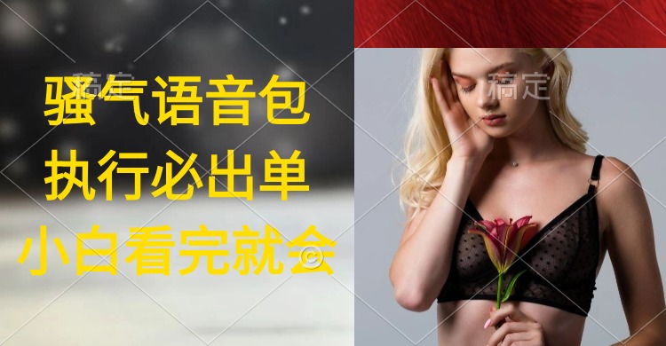 执行就出单，日入2000+，超火骚气语音包，小白看完课程就能马上实操-微众资源