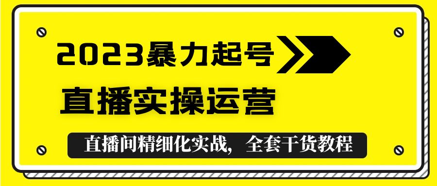 2023暴力起号+直播实操运营，全套直播间精细化实战，全套干货教程！-微众资源