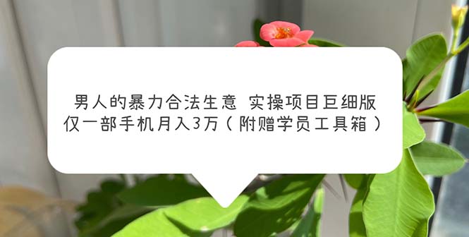 男人的暴力合法生意实操项目巨细版：仅一部手机月入3w（附赠学员工具箱）-微众资源