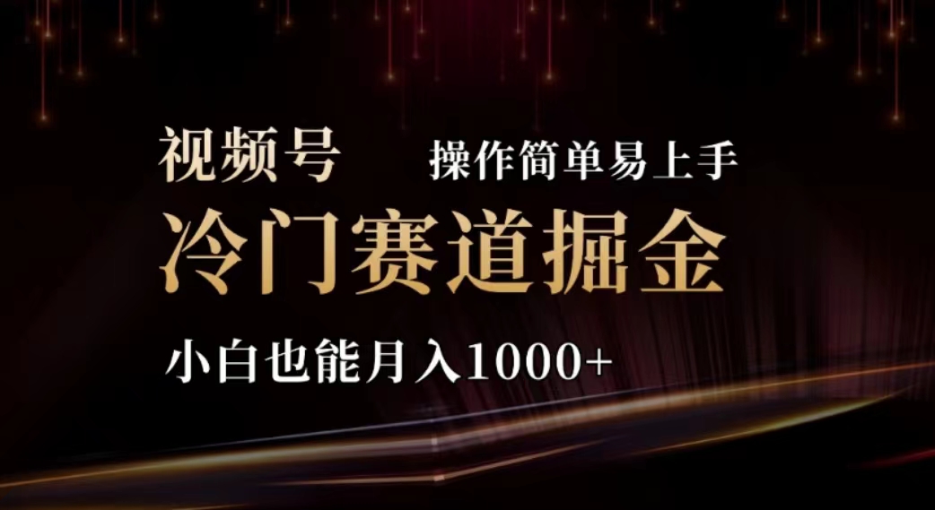 2024视频号冷门赛道掘金，操作简单轻松上手，小白也能月入1000+-微众资源