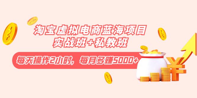 淘宝虚拟电商蓝海项目实战班+私教班：每天操作2小时，每月多赚5000+-微众资源