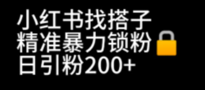 小红书找搭子暴力精准锁粉+引流日引200+精准粉-微众资源