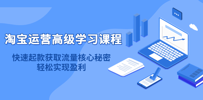 淘宝运营高级学习课程：快速获取流量核心秘密，轻松实现盈利！-微众资源