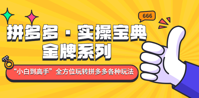 拼多多·实操宝典：金牌系列“小白到高手”带你全方位玩转拼多多各种玩法-微众资源