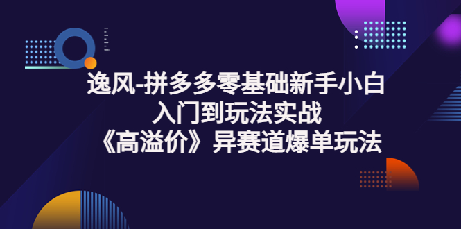 逸风-拼多多零基础新手小白入门到玩法实战《高溢价》异赛道爆单玩法实操课-微众资源
