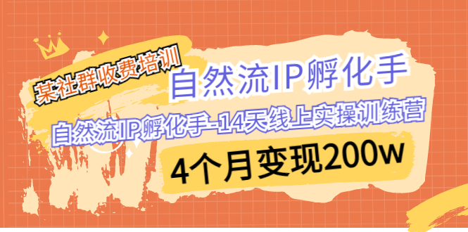 某社群收费培训：自然流IP 孵化手-14天线上实操训练营 4个月变现200w-微众资源
