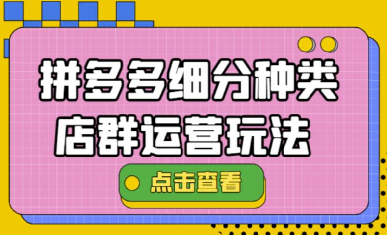 拼多多细分种类店群运营玩法3.0，11月最新玩法，小白也可以操作-微众资源