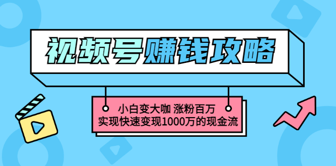 玩转微信视频号赚钱：小白变大咖 涨粉百万 实现快速变现1000万的现金流-微众资源