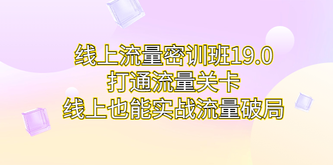 线上流量密训班19.0，打通流量关卡，线上也能实战流量破局-微众资源