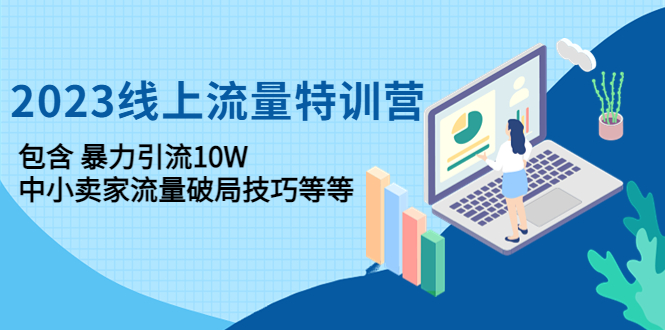2023线上流量特训营：包含暴力引流10W+中小卖家流量破局技巧等等-微众资源