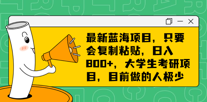最新蓝海项目，只要会复制粘贴，日入800+，大学生考研项目，目前做的人极少-微众资源