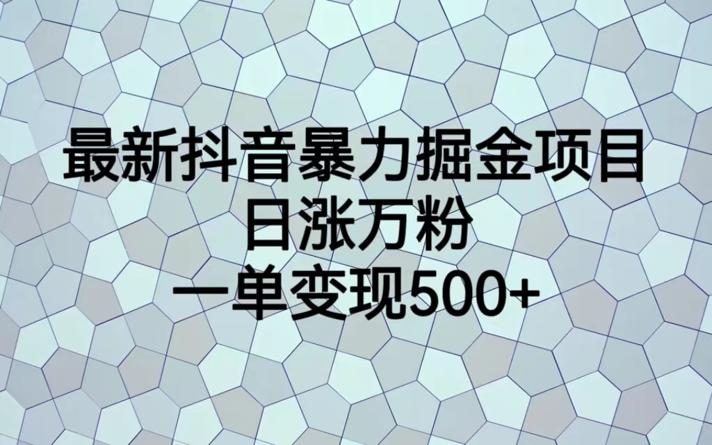 最新抖音暴力掘金项目，日涨万粉，一单变现500+-微众资源