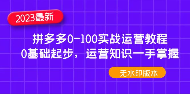 2023拼多多0-100实战运营教程，0基础起步，运营知识一手掌握（无水印）-微众资源