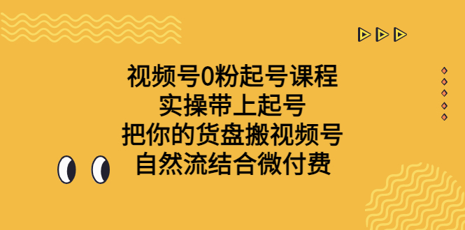 视频号0粉起号课程 实操带上起号 把你的货盘搬视频号 自然流结合微付费-微众资源