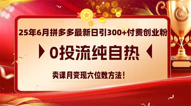 25年6月拼多多最新日引300+付费创业粉，0投流纯自热 卖课月变现六位数方法-微众资源