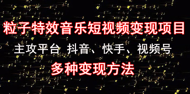 《粒子特效音乐短视频变现项目》主攻平台 抖音、快手、视频号 多种变现方法-微众资源