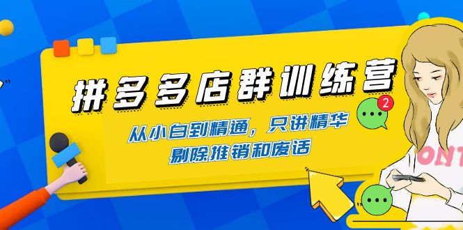 拼多多店群训练营：从小白到精通，只讲精华，剔除推销和废话-微众资源
