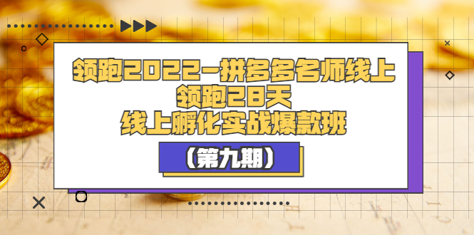 领跑2022-拼多多名师线上领跑28天，线上孵化实战爆款班-微众资源