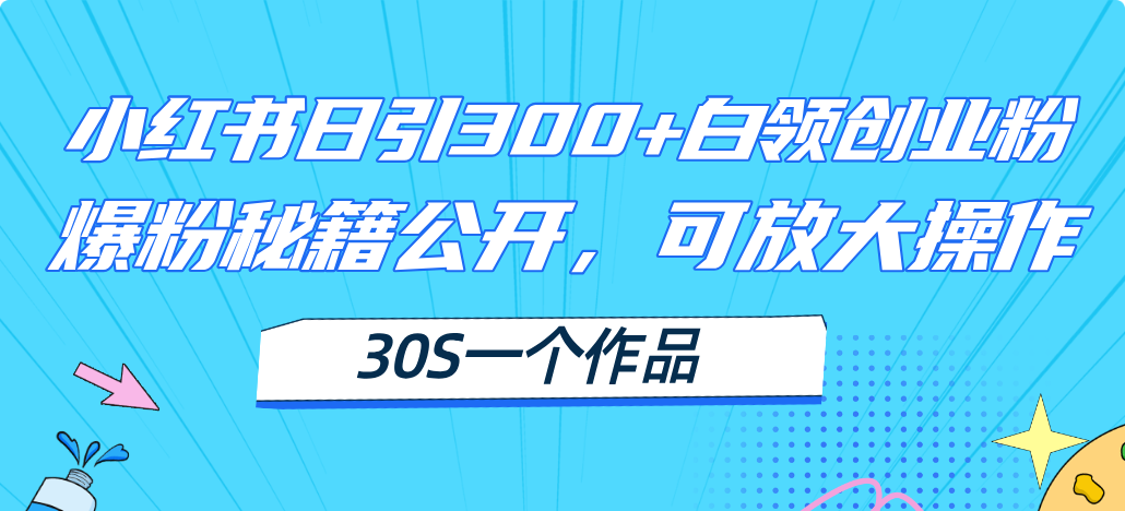小红书日引300+高质白领创业粉，可放大操作，爆粉秘籍！30s一个作品-微众资源