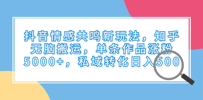 抖音情感共鸣新玩法，知乎无脑搬运，单条作品涨粉5000+，私域转化日入500-微众资源