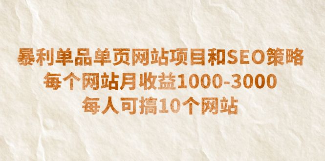 暴利单品单页网站项目和SEO策略  每个网站月收益1000-3000  每人可搞10个-微众资源