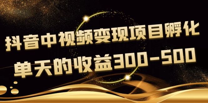 黄岛主《抖音中视频变现项目孵化》单天的收益300-500 操作简单粗暴-微众资源