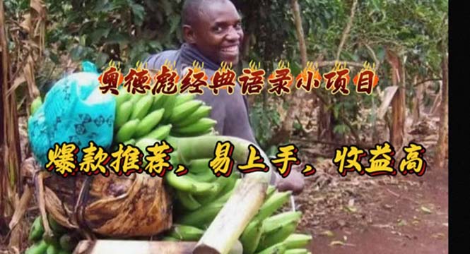 奥德彪经典语录小项目，爆款推荐，易上手，收益高-微众资源