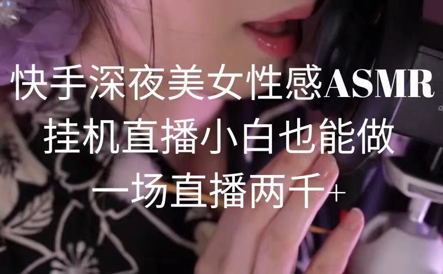快手深夜美女性感ASMR挂机直播，小白也能做，一场直播两千+-微众资源