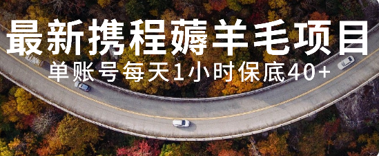 最新携程薅羊毛项目，单账号每天1小时保底收益40+，可矩阵操作-微众资源
