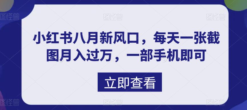 八月新风口，小红书虚拟项目一天收入1000+，实战揭秘-微众资源