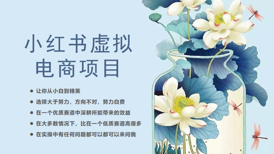 小红书虚拟电商从0到1，让你从小白到精英（20节实操课程）-微众资源