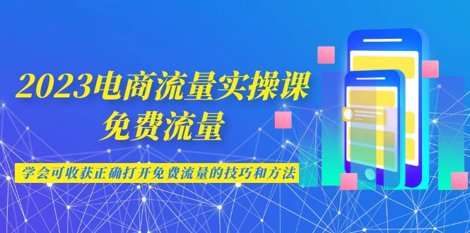 2023电商流量实操课-免费流量，学会可收获正确打开免费流量的技巧和方法-微众资源