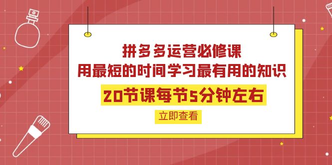 拼多多运营必修课：20节课每节5分钟左右，用最短的时间学习最有用的知识-微众资源