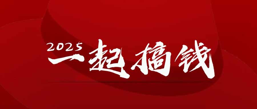 2025年，请“不择手段”去搞钱!-微众资源