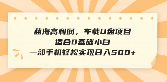 蓝海高利润，车载U盘项目，适合0基础小白，一部手机轻松实现日入500+-微众资源