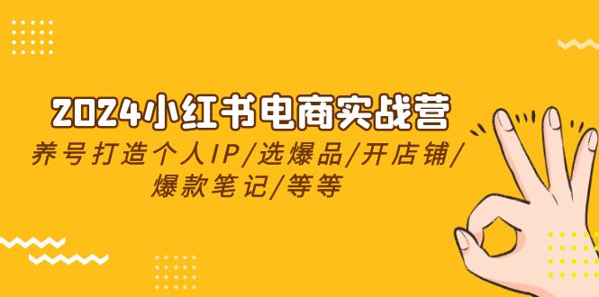 2024小红书电商实战营，养号打造IP/选爆品/开店铺/爆款笔记/等等（24节）-微众资源