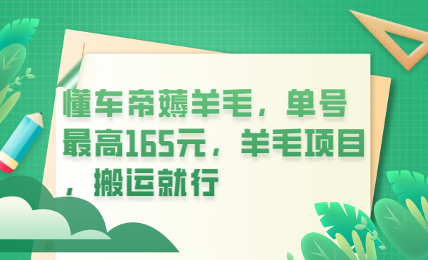 懂车帝薅羊毛，单号最高165元，羊毛项目，搬运就行-微众资源