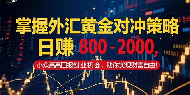 掌握外汇黄金对冲策略，日赚 800 – 2000，小众高回报创业机会，助你实…-微众资源