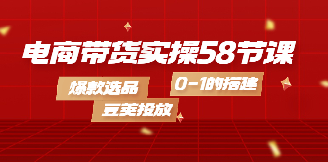 电商带货实操58节课，爆款选品，豆荚投放，0-1的搭建-微众资源