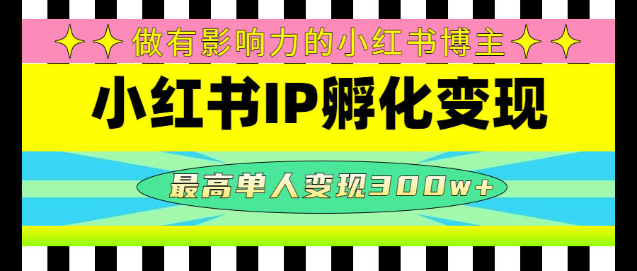 某收费培训-小红书IP孵化变现：做有影响力的小红书博主，最高单人变现300w+-微众资源