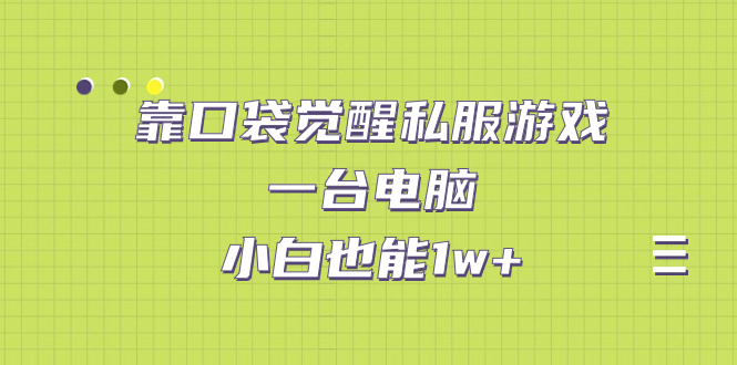 靠口袋觉醒私服游戏，一台电脑，小白也能1w+（教程+工具+资料）-微众资源