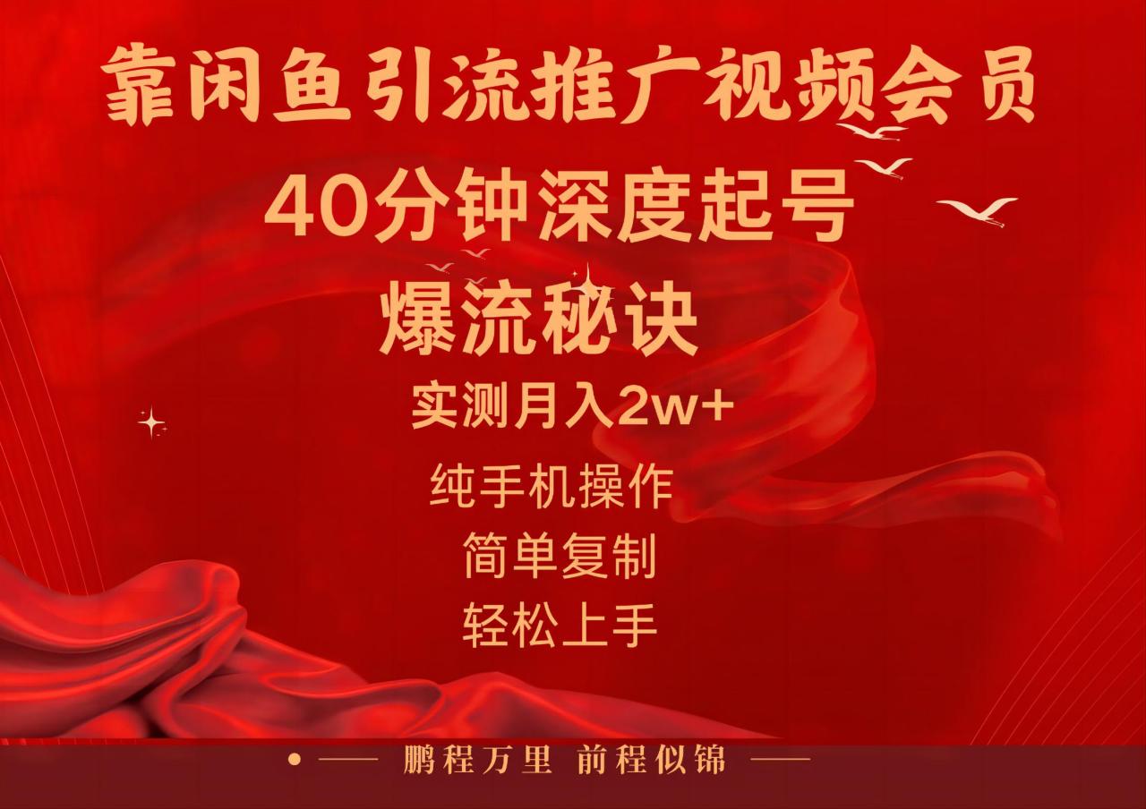 闲鱼暴力引流推广视频会员，能做到日入2W+，操作简单-微众资源