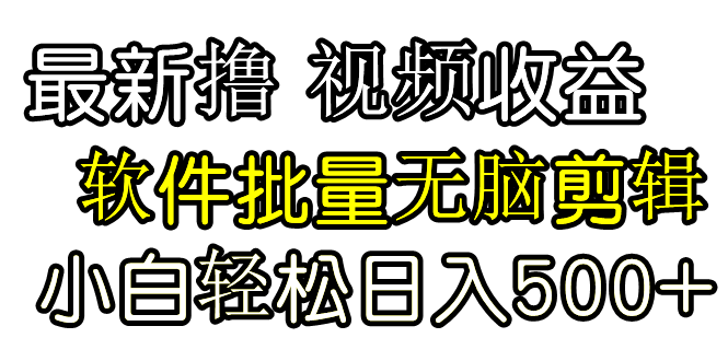 发视频撸收益，软件无脑批量剪辑，第一天发第二天就有钱-微众资源