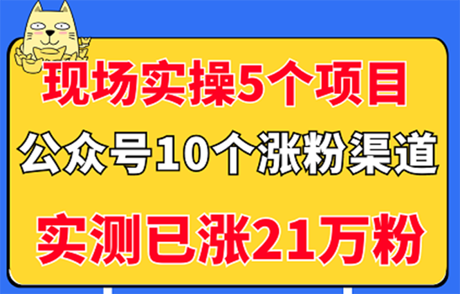 现场实操5个公众号项目，10个涨粉渠道，实测已涨21万粉！-微众资源