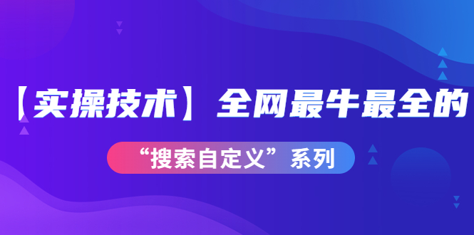 【实操技术】全网最牛最全的“搜索自定义”系列！价值698元-微众资源