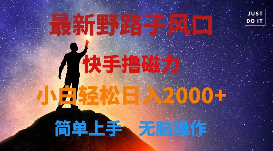 最新风口！快手撸磁力，野路子，小白无脑操作日入2000+-微众资源