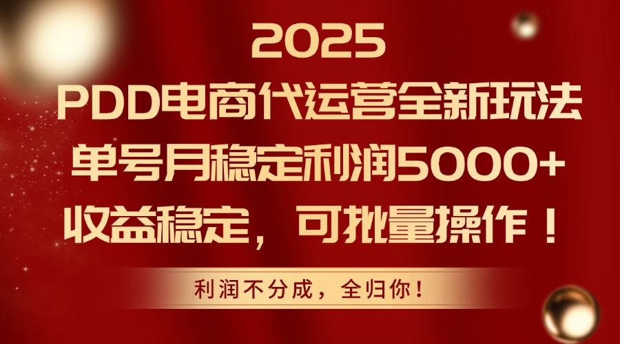 2025PDD电商代运营全新玩法，单号月稳定利润5000+，收益稳定，可批量操作-微众资源